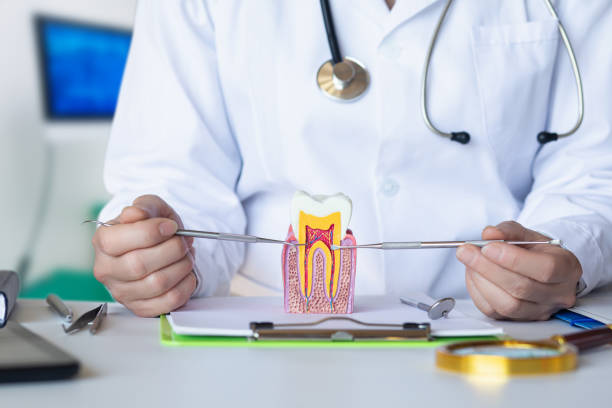 Best Root Canal Emergency Dentist  in Schererville, IN
